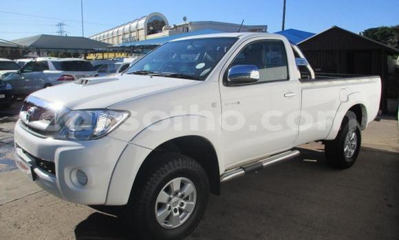 Acheter Occasion Voiture Toyota Hilux Blanc à Maseru, Maseru Acheter Occasion Voiture Toyota Hilux Blanc à Maseru, Maseru