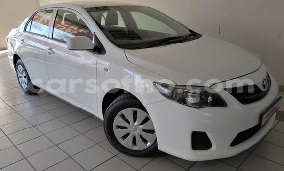 Acheter Occasion Voiture Toyota Corolla Blanc à Maseru, Maseru Acheter Occasion Voiture Toyota Corolla Blanc à Maseru, Maseru