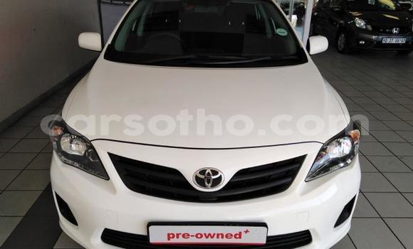 Acheter Occasion Voiture Toyota Corolla Blanc à Maseru, Maseru Acheter Occasion Voiture Toyota Corolla Blanc à Maseru, Maseru