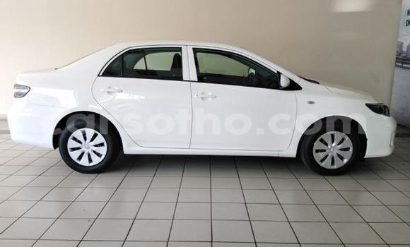 Acheter Occasion Voiture Toyota Corolla Blanc à Maseru, Maseru Acheter Occasion Voiture Toyota Corolla Blanc à Maseru, Maseru