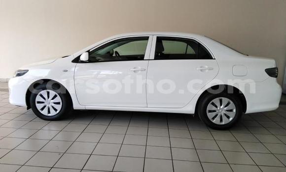Acheter Occasion Voiture Toyota Corolla Blanc à Maseru, Maseru Acheter Occasion Voiture Toyota Corolla Blanc à Maseru, Maseru