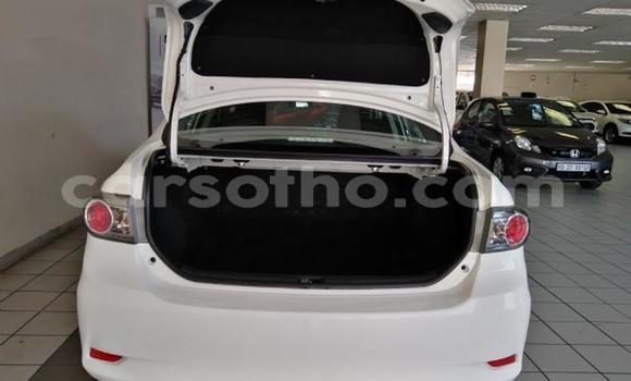 Acheter Occasion Voiture Toyota Corolla Blanc à Maseru, Maseru Acheter Occasion Voiture Toyota Corolla Blanc à Maseru, Maseru