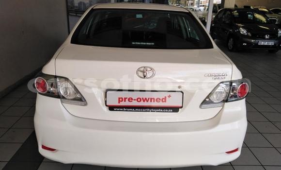 Acheter Occasion Voiture Toyota Corolla Blanc à Maseru, Maseru Acheter Occasion Voiture Toyota Corolla Blanc à Maseru, Maseru
