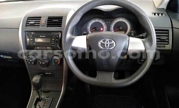Acheter Occasion Voiture Toyota Corolla Blanc à Maseru, Maseru Acheter Occasion Voiture Toyota Corolla Blanc à Maseru, Maseru