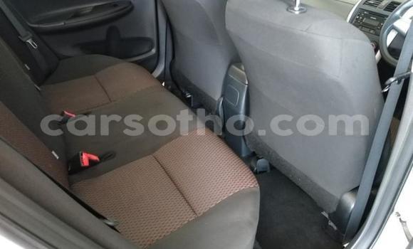 Acheter Occasion Voiture Toyota Corolla Blanc à Maseru, Maseru Acheter Occasion Voiture Toyota Corolla Blanc à Maseru, Maseru