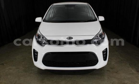 Sayi Na hannu Kia Picanto White Mota in Maseru a Maseru Sayi Na hannu Kia Picanto White Mota in Maseru a Maseru