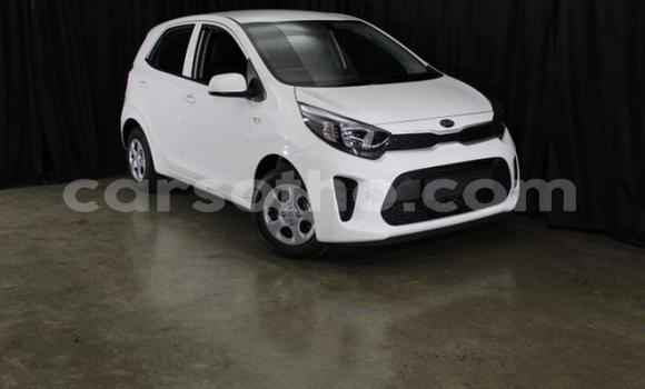 Sayi Na hannu Kia Picanto White Mota in Maseru a Maseru Sayi Na hannu Kia Picanto White Mota in Maseru a Maseru
