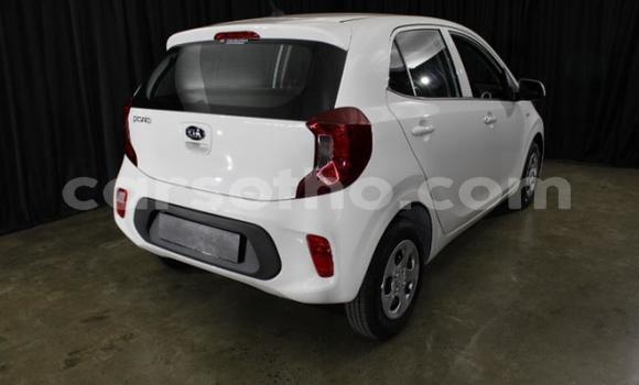 Sayi Na hannu Kia Picanto White Mota in Maseru a Maseru Sayi Na hannu Kia Picanto White Mota in Maseru a Maseru
