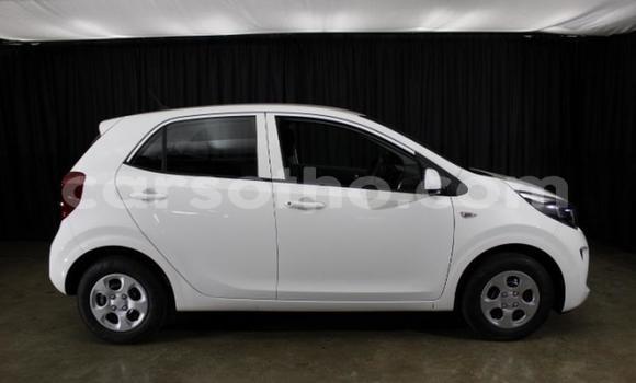Sayi Na hannu Kia Picanto White Mota in Maseru a Maseru Sayi Na hannu Kia Picanto White Mota in Maseru a Maseru