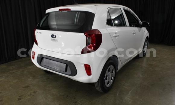 Sayi Na hannu Kia Picanto White Mota in Maseru a Maseru Sayi Na hannu Kia Picanto White Mota in Maseru a Maseru