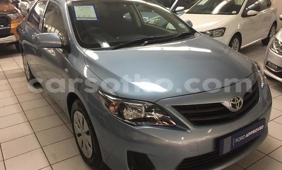 Acheter Occasion Voiture Toyota Corolla Autre à Maseru, Maseru Acheter Occasion Voiture Toyota Corolla Autre à Maseru, Maseru