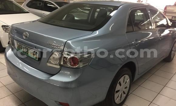 Acheter Occasion Voiture Toyota Corolla Autre à Maseru, Maseru Acheter Occasion Voiture Toyota Corolla Autre à Maseru, Maseru