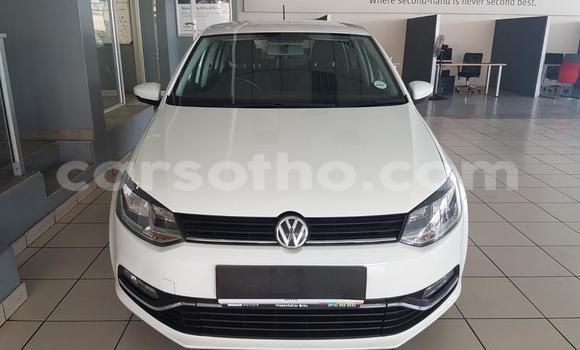 Buy Used Volkswagen Polo White Car in Maseru in Maseru Buy Used Volkswagen Polo White Car in Maseru in Maseru