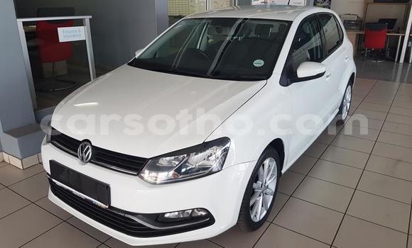 Buy Used Volkswagen Polo White Car in Maseru in Maseru Buy Used Volkswagen Polo White Car in Maseru in Maseru