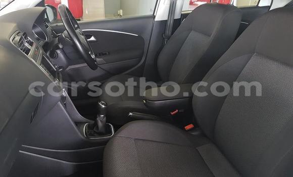 Buy Used Volkswagen Polo White Car in Maseru in Maseru Buy Used Volkswagen Polo White Car in Maseru in Maseru