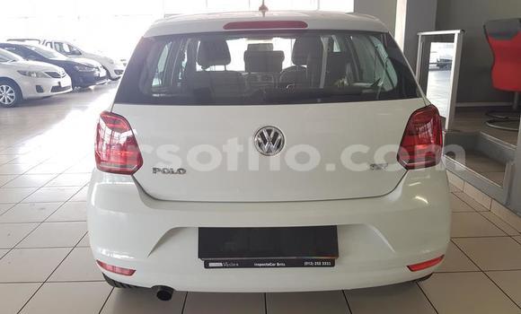 Buy Used Volkswagen Polo White Car in Maseru in Maseru Buy Used Volkswagen Polo White Car in Maseru in Maseru