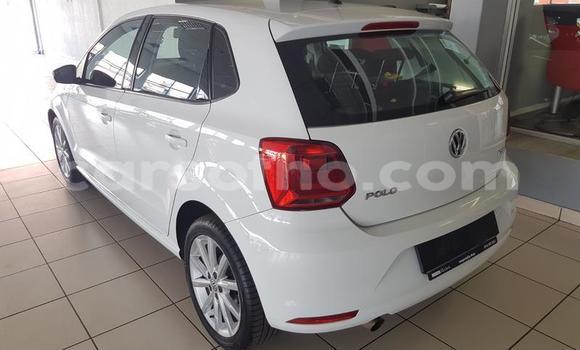 Buy Used Volkswagen Polo White Car in Maseru in Maseru Buy Used Volkswagen Polo White Car in Maseru in Maseru