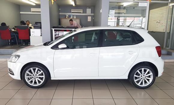 Buy Used Volkswagen Polo White Car in Maseru in Maseru Buy Used Volkswagen Polo White Car in Maseru in Maseru
