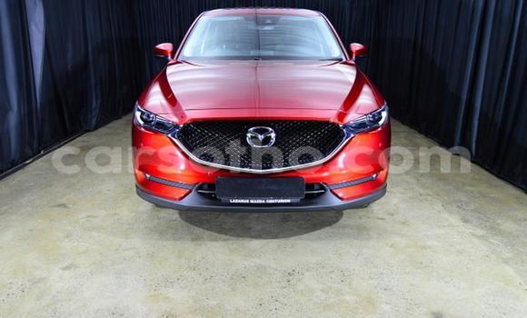 Sayi Na hannu Mazda CX-5 Red Mota in Maseru a Maseru Sayi Na hannu Mazda CX-5 Red Mota in Maseru a Maseru