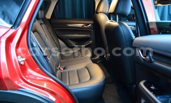 Sayi Na hannu Mazda CX-5 Red Mota in Maseru a Maseru Sayi Na hannu Mazda CX-5 Red Mota in Maseru a Maseru