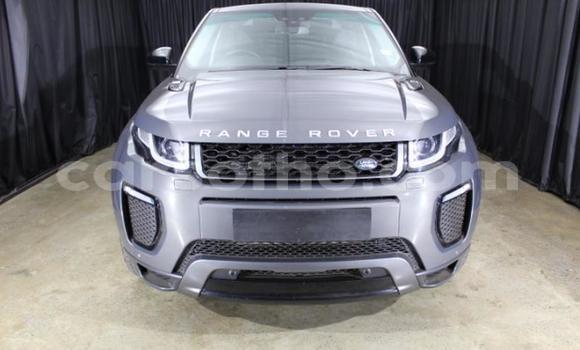 Acheter Occasion Voiture Land Rover Range Rover Evoque Autre à Maseru, Maseru Acheter Occasion Voiture Land Rover Range Rover Evoque Autre à Maseru, Maseru