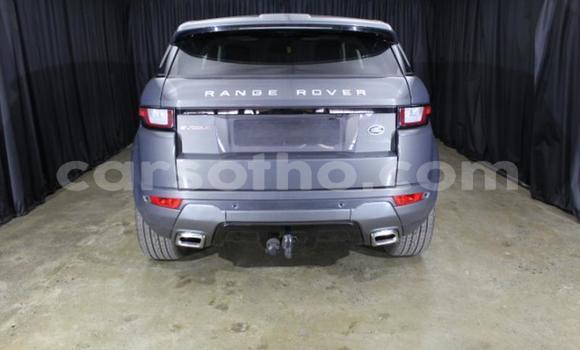 Acheter Occasion Voiture Land Rover Range Rover Evoque Autre à Maseru, Maseru Acheter Occasion Voiture Land Rover Range Rover Evoque Autre à Maseru, Maseru