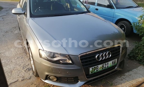 اشتري مستعمل Audi A4 Beige سيارة في Butha–Buthe في Thaba-Tseka اشتري مستعمل Audi A4 Beige سيارة في Butha–Buthe في Thaba-Tseka