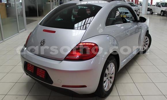 Acheter Occasion Voiture Volkswagen Beetle Gris à Maseru, Maseru Acheter Occasion Voiture Volkswagen Beetle Gris à Maseru, Maseru