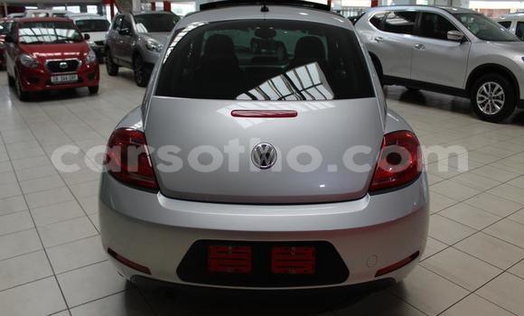 Acheter Occasion Voiture Volkswagen Beetle Gris à Maseru, Maseru Acheter Occasion Voiture Volkswagen Beetle Gris à Maseru, Maseru