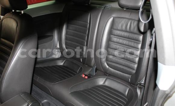 Acheter Occasion Voiture Volkswagen Beetle Gris à Maseru, Maseru Acheter Occasion Voiture Volkswagen Beetle Gris à Maseru, Maseru