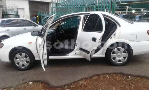 Buy Used Nissan Almera White Car in Maseru in Maseru Buy Used Nissan Almera White Car in Maseru in Maseru