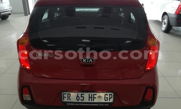 Acheter Occasion Voiture Kia Picanto Rouge à Hlotse, Leribe Acheter Occasion Voiture Kia Picanto Rouge à Hlotse, Leribe