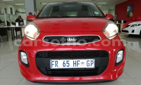 Acheter Occasion Voiture Kia Picanto Rouge à Hlotse, Leribe Acheter Occasion Voiture Kia Picanto Rouge à Hlotse, Leribe