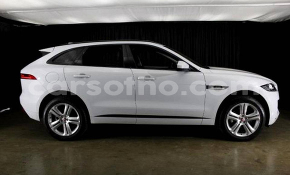 Sayi Na hannu Jaguar F-Pace White Mota in Maseru a Maseru Sayi Na hannu Jaguar F-Pace White Mota in Maseru a Maseru