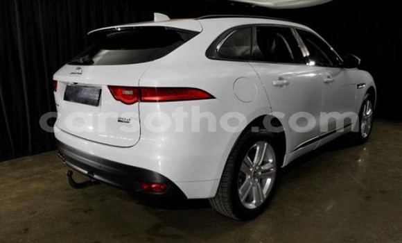 Sayi Na hannu Jaguar F-Pace White Mota in Maseru a Maseru Sayi Na hannu Jaguar F-Pace White Mota in Maseru a Maseru