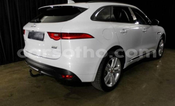 Sayi Na hannu Jaguar F-Pace White Mota in Maseru a Maseru Sayi Na hannu Jaguar F-Pace White Mota in Maseru a Maseru