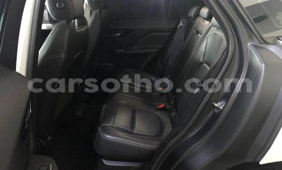 Sayi Na hannu Jaguar F-Pace White Mota in Maseru a Maseru Sayi Na hannu Jaguar F-Pace White Mota in Maseru a Maseru