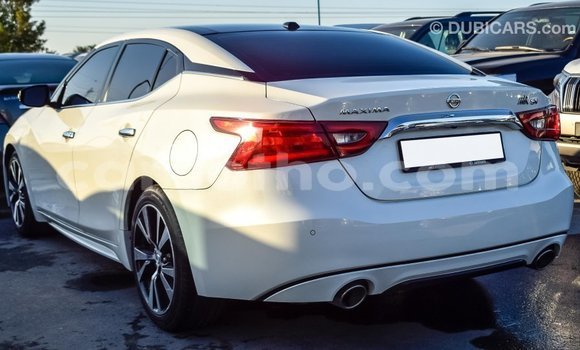 Sayi Imported Nissan Maxima White Mota in Import - Dubai a Maseru Sayi Imported Nissan Maxima White Mota in Import - Dubai a Maseru