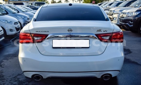 Sayi Imported Nissan Maxima White Mota in Import - Dubai a Maseru Sayi Imported Nissan Maxima White Mota in Import - Dubai a Maseru