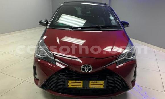 اشتري مستعمل Toyota Yaris Red سيارة في Maseru في Maseru اشتري مستعمل Toyota Yaris Red سيارة في Maseru في Maseru