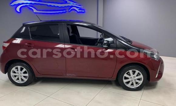 اشتري مستعمل Toyota Yaris Red سيارة في Maseru في Maseru اشتري مستعمل Toyota Yaris Red سيارة في Maseru في Maseru