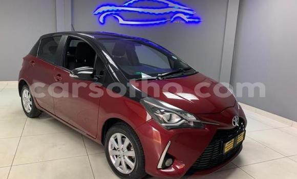 اشتري مستعمل Toyota Yaris Red سيارة في Maseru في Maseru اشتري مستعمل Toyota Yaris Red سيارة في Maseru في Maseru