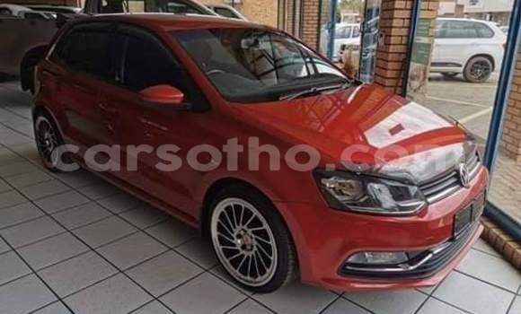 اشتري مستعمل Volkswagen Polo Red سيارة في Maseru في Maseru اشتري مستعمل Volkswagen Polo Red سيارة في Maseru في Maseru