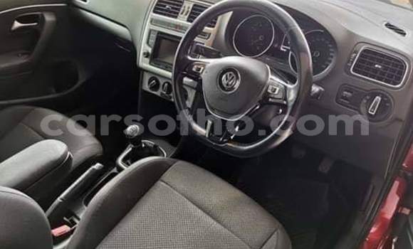 اشتري مستعمل Volkswagen Polo Red سيارة في Maseru في Maseru اشتري مستعمل Volkswagen Polo Red سيارة في Maseru في Maseru
