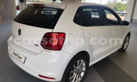 اشتري مستعمل Volkswagen Polo White سيارة في Maseru في Maseru اشتري مستعمل Volkswagen Polo White سيارة في Maseru في Maseru