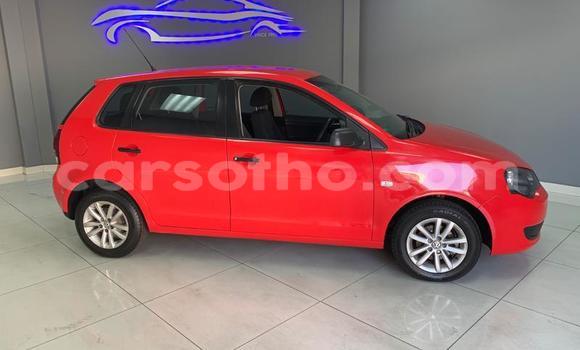 Acheter Occasion Voiture Volkswagen Polo Rouge à Maseru, Maseru Acheter Occasion Voiture Volkswagen Polo Rouge à Maseru, Maseru