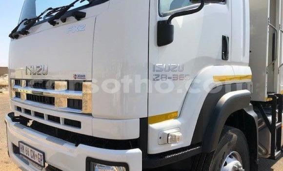 Buy Used Isuzu FTR 850 White Truck in Maseru in Maseru Buy Used Isuzu FTR 850 White Truck in Maseru in Maseru