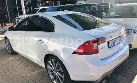 Buy Used Volvo S60 White Car in Hlotse in Leribe Buy Used Volvo S60 White Car in Hlotse in Leribe