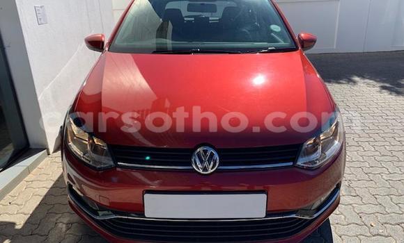 Buy Used Volkswagen Polo Red Car in Maseru in Maseru Buy Used Volkswagen Polo Red Car in Maseru in Maseru