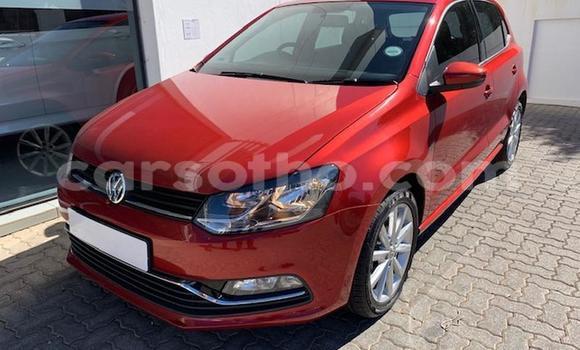 Buy Used Volkswagen Polo Red Car in Maseru in Maseru Buy Used Volkswagen Polo Red Car in Maseru in Maseru